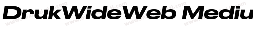 DrukWideWeb MediumIt字体转换